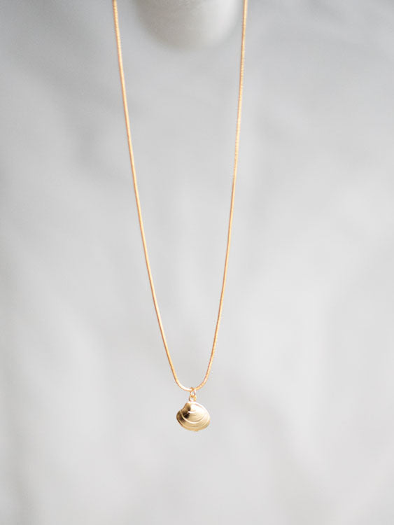 Shell Necklace