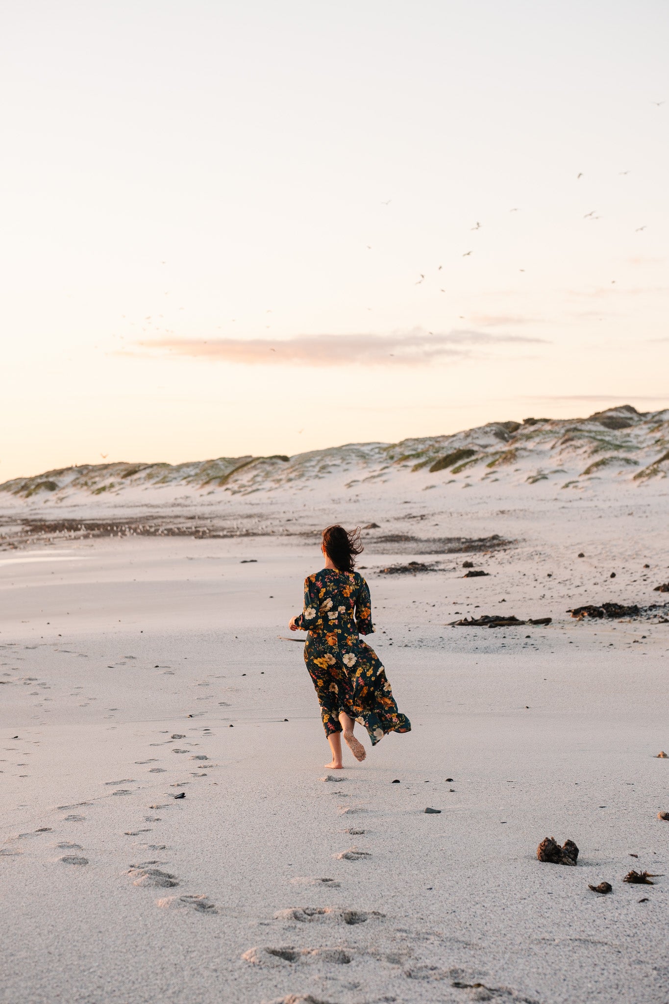 Sophia Dress - Botanical Florals