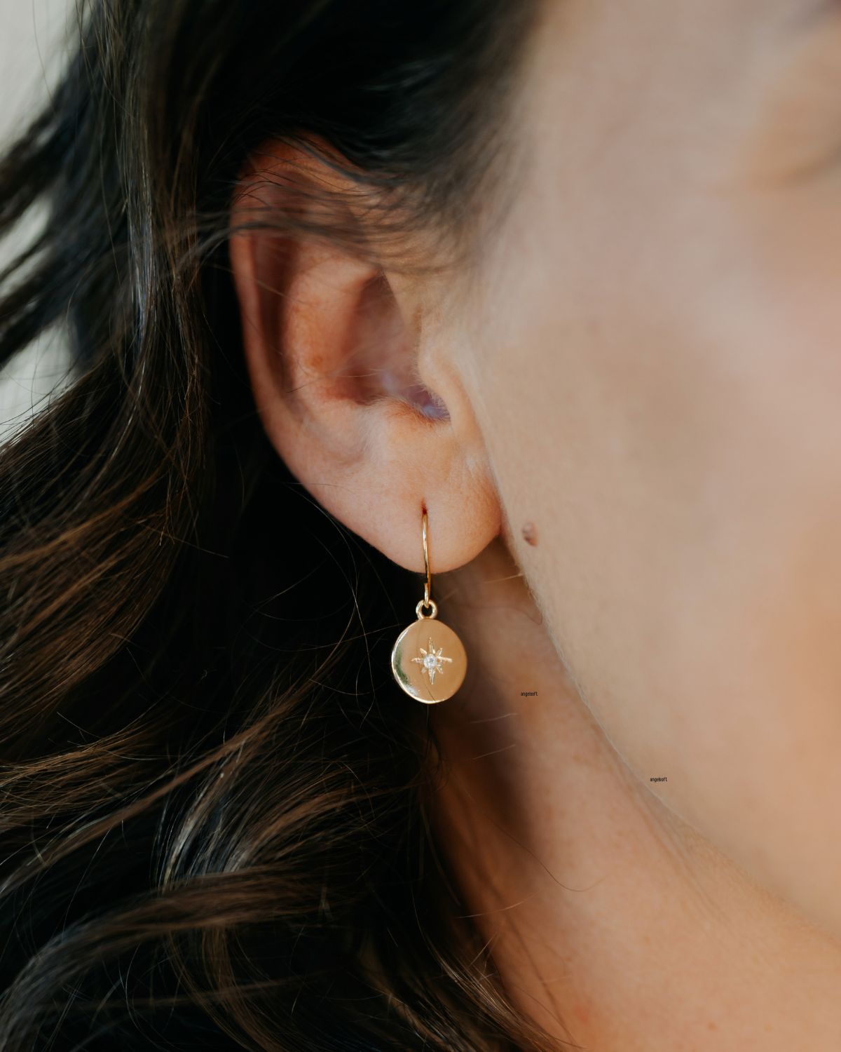 Northen Star Disc Earrings